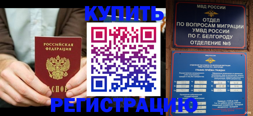 прописка 2025 в Заозёрске